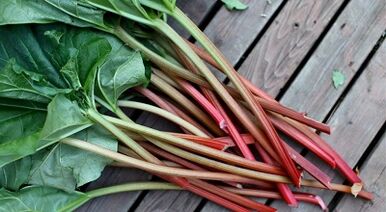 Sorrel เพื่อกำจัดปรสิตออกจากร่างกาย